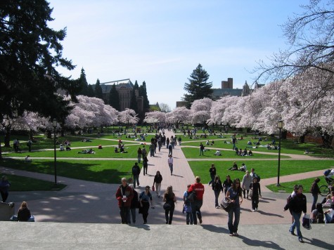 University_of_Washington_Quad,_Spring_2007